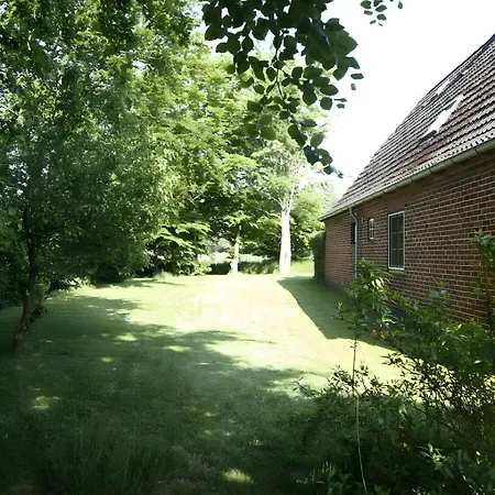 Drelsdorfer Forst Feriehus Drelsdorf